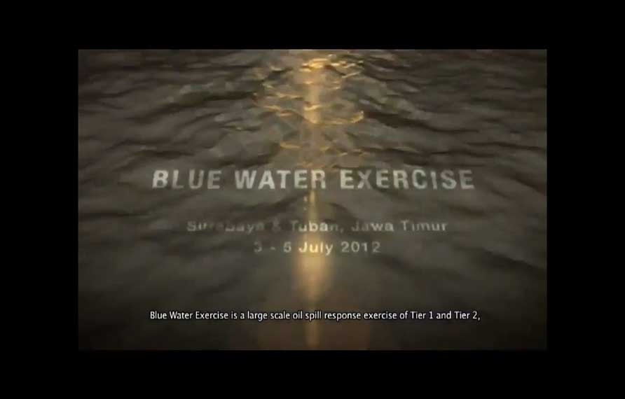 Blue Water Exercise 2012
